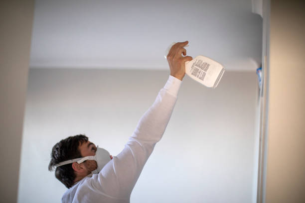 Best Water Damage Restoration  in South Hill, WA