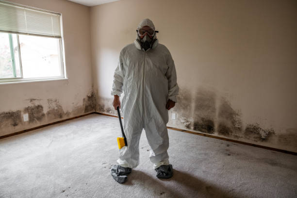 Home Mold Removal in South Hill, WA